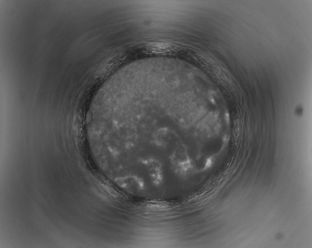 X0000116850653201001191641