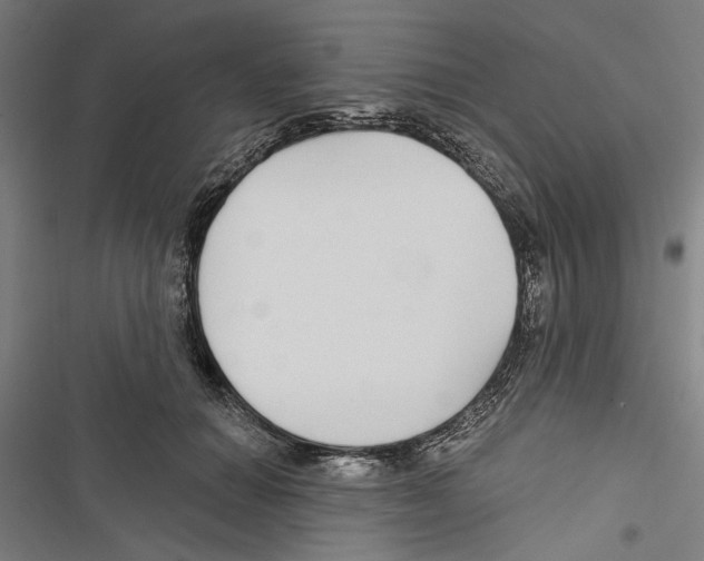 X0000116850654201001191641