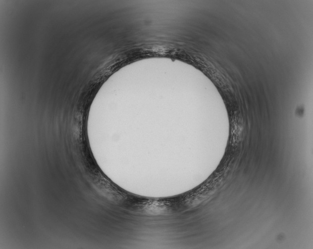 X0000116850656201001191641