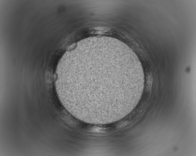 X0000116850657201001191641