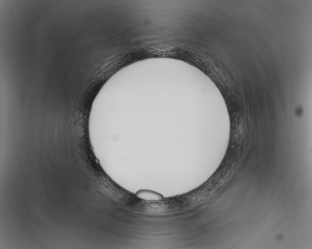 X0000116850658201001191641