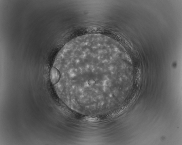 X0000116850659201001191641
