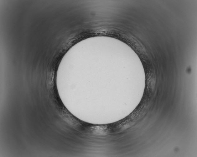 X0000116850660201001191641
