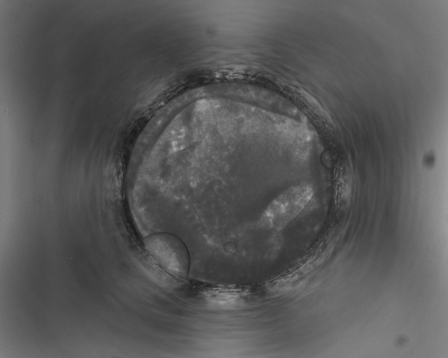X0000116850661201001191641