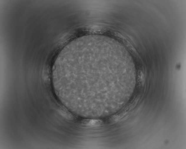 X0000116850663201001191641