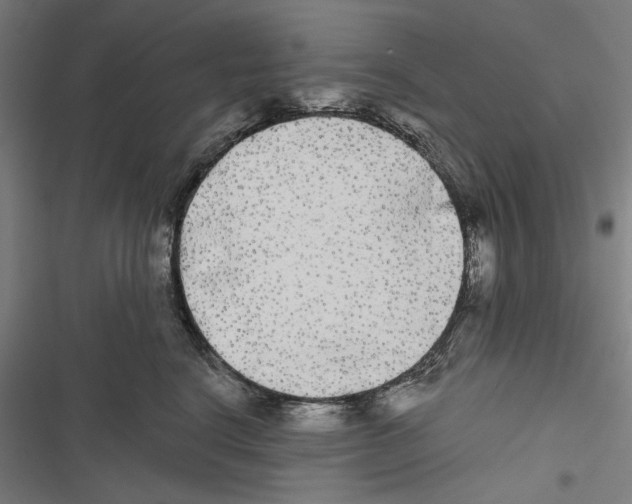 X0000116850664201001191641