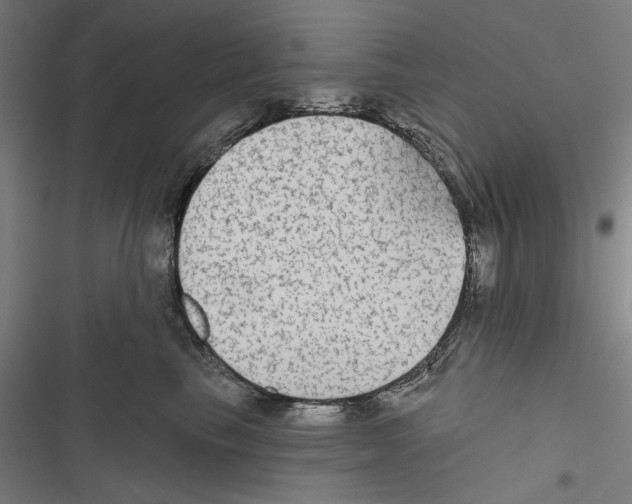 X0000116850665201001191641