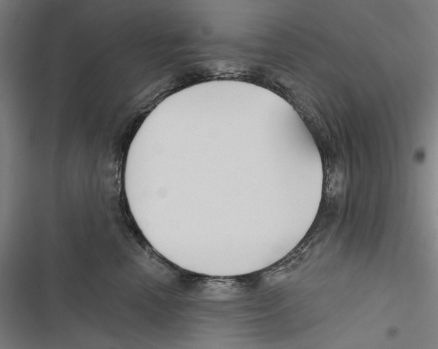 X0000116850666201001191641