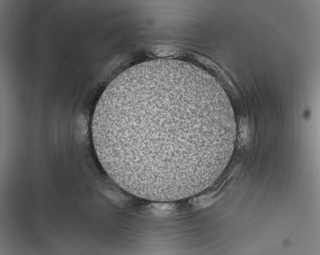 X0000116850667201001191641