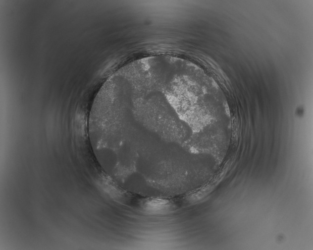 X0000116850669201001191641