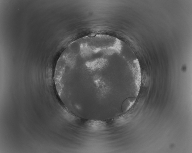 X0000116850670201001191641