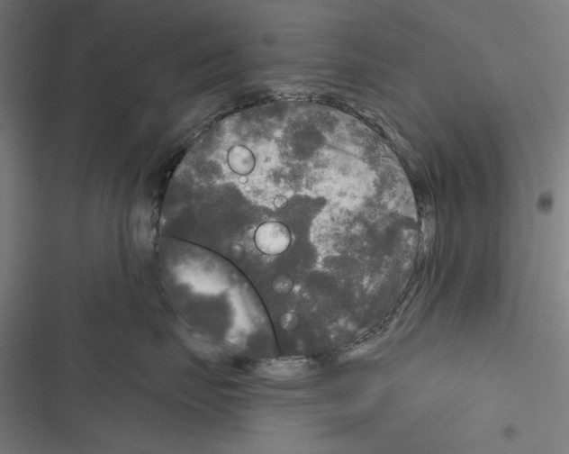 X0000116850671201001191642
