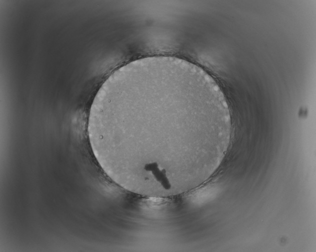 X0000116850672201001191642