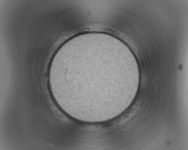 X0000116850673201001191641