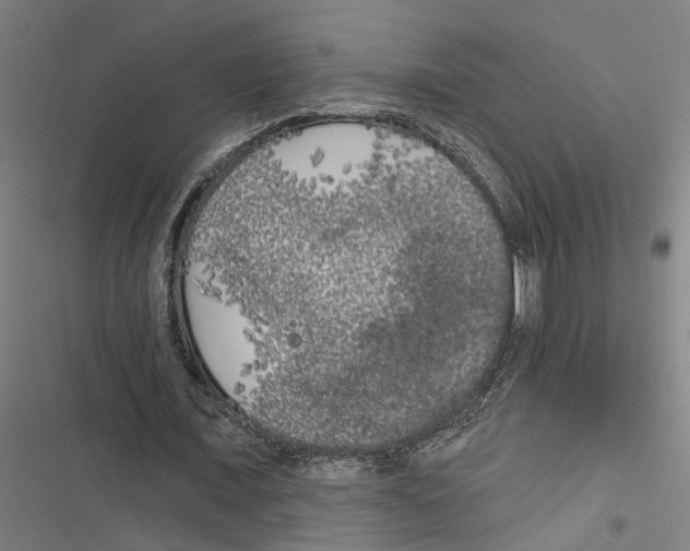 X0000116850675201001191641