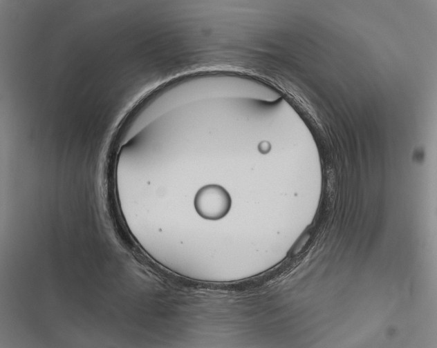 X0000116850676201001191641