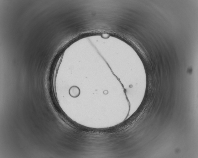 X0000116850677201001191641