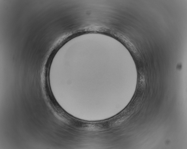 X0000116850678201001191641