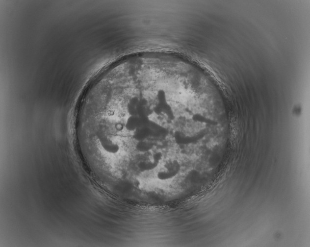 X0000116850679201001191641