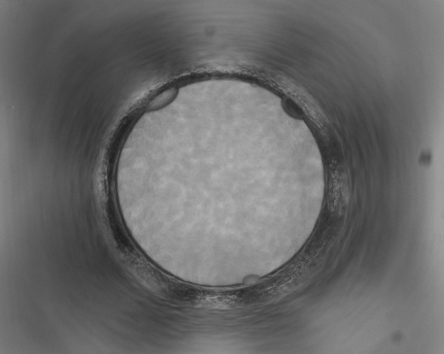 X0000116850680201001191641