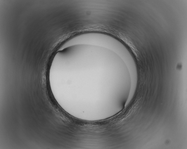 X0000116850681201001191641