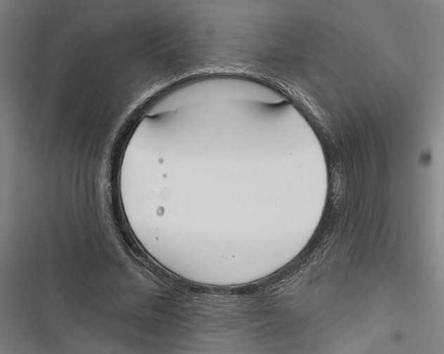 X0000116850684201001191641