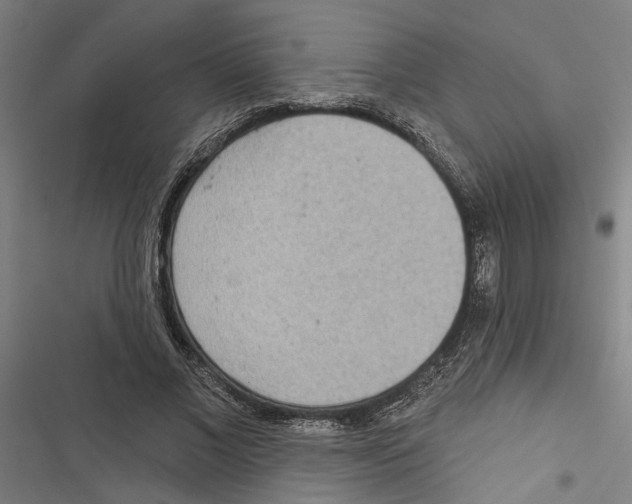 X0000116850685201001191641