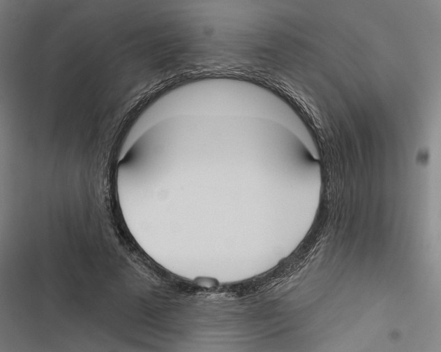 X0000116850689201001191641