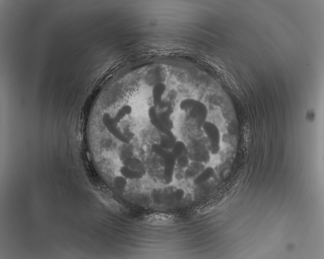X0000116850691201001191641