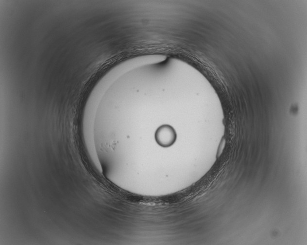 X0000116850693201001191641