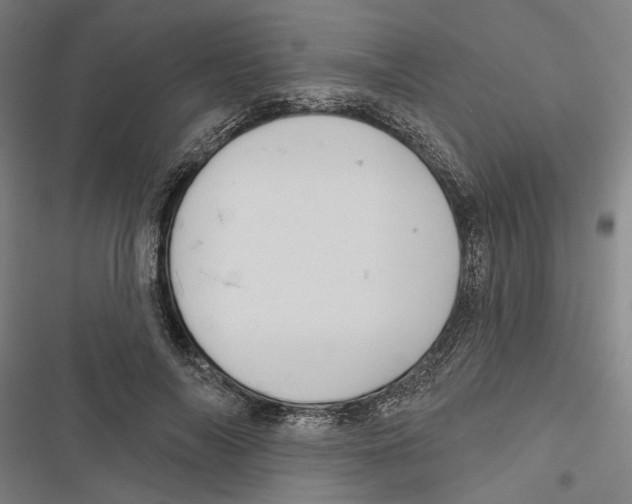 X0000116850694201001191641