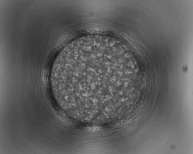 X0000116850695201001191641