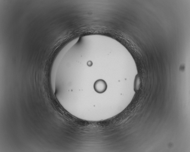 X0000116850696201001191641