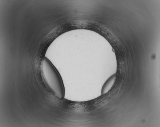 X0000116850697201001191641