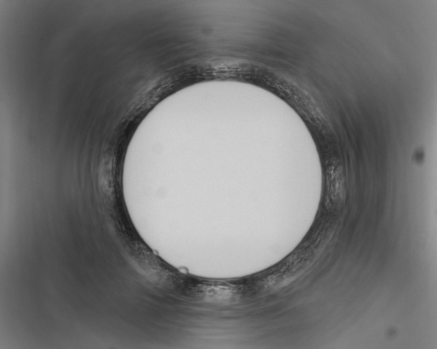 X0000116850698201001191641