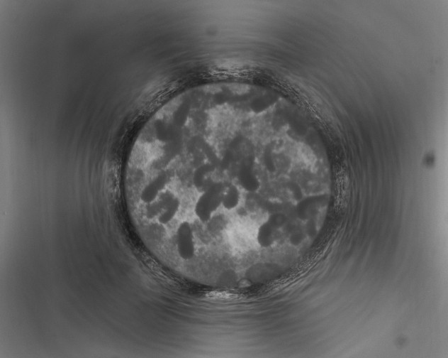 X0000116850699201001191641