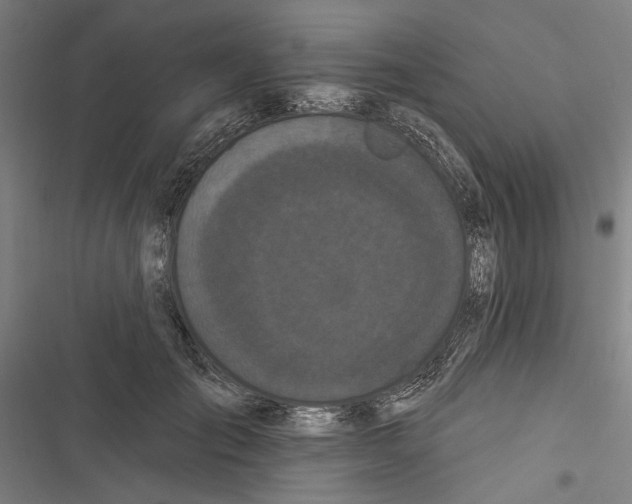 X0000116850701201001191640