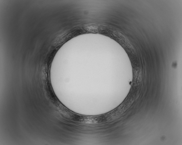 X0000116850702201001191640
