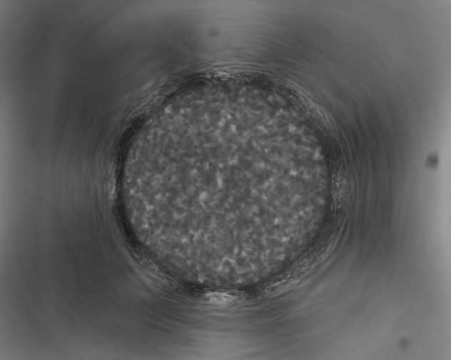 X0000116850703201001191640