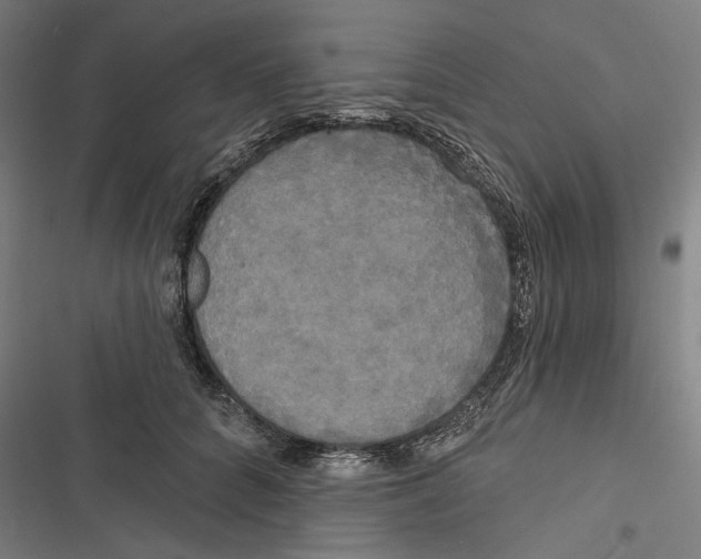 X0000116850704201001191640