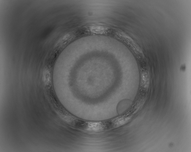 X0000116850705201001191640