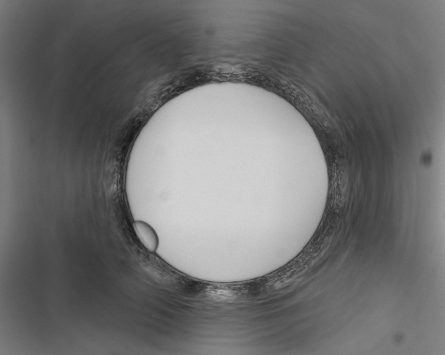 X0000116850706201001191640