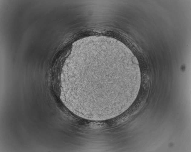 X0000116850707201001191640