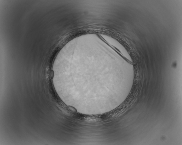 X0000116850708201001191640