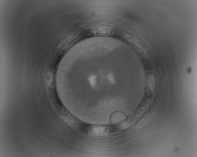 X0000116850709201001191640