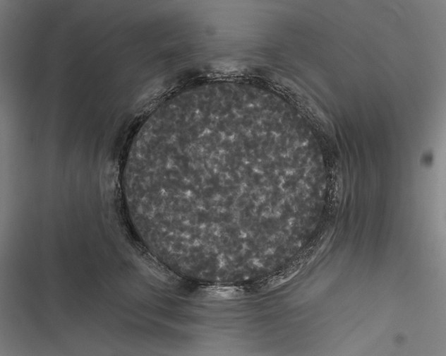 X0000116850711201001191640