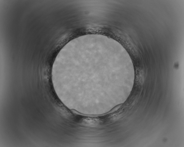 X0000116850712201001191640