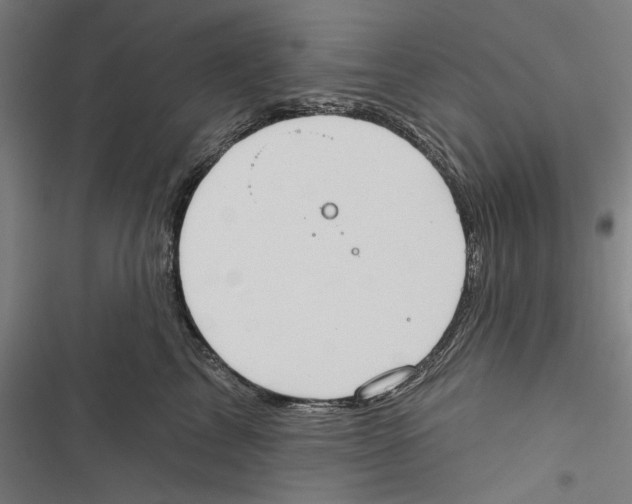 X0000116850713201001191640