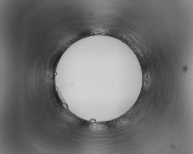 X0000116850714201001191640
