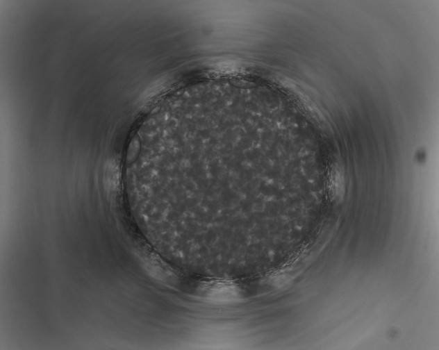 X0000116850715201001191640